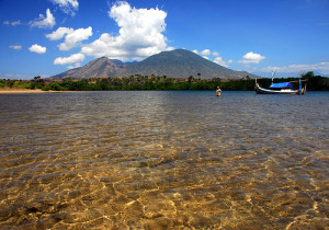 Baluran National Park Tour