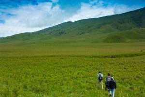  Java Tour Packages Bromo Ijen Tours