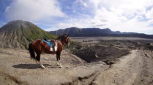 Yogyakarta Mount Bromo Ijen Tour