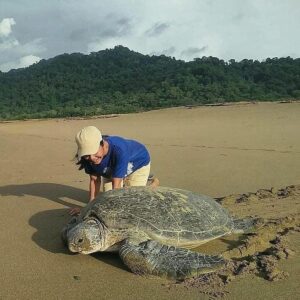 Sukamade Ijen BlueFlames Tours